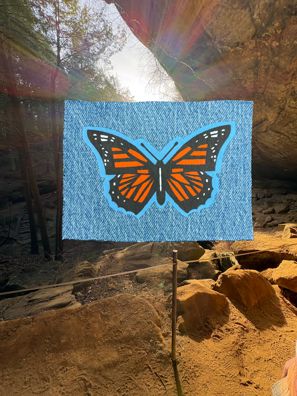 Large Monarch Patch