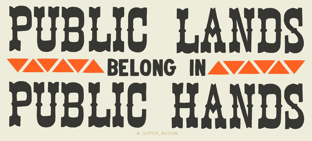 Public Lands Sticker